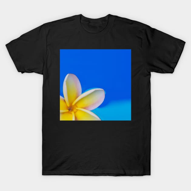 Plumeria Petals T-Shirt by alohaportraits